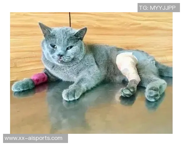 在家踢门脚趾骨折，蓝狮争冠真指不上亿元先生